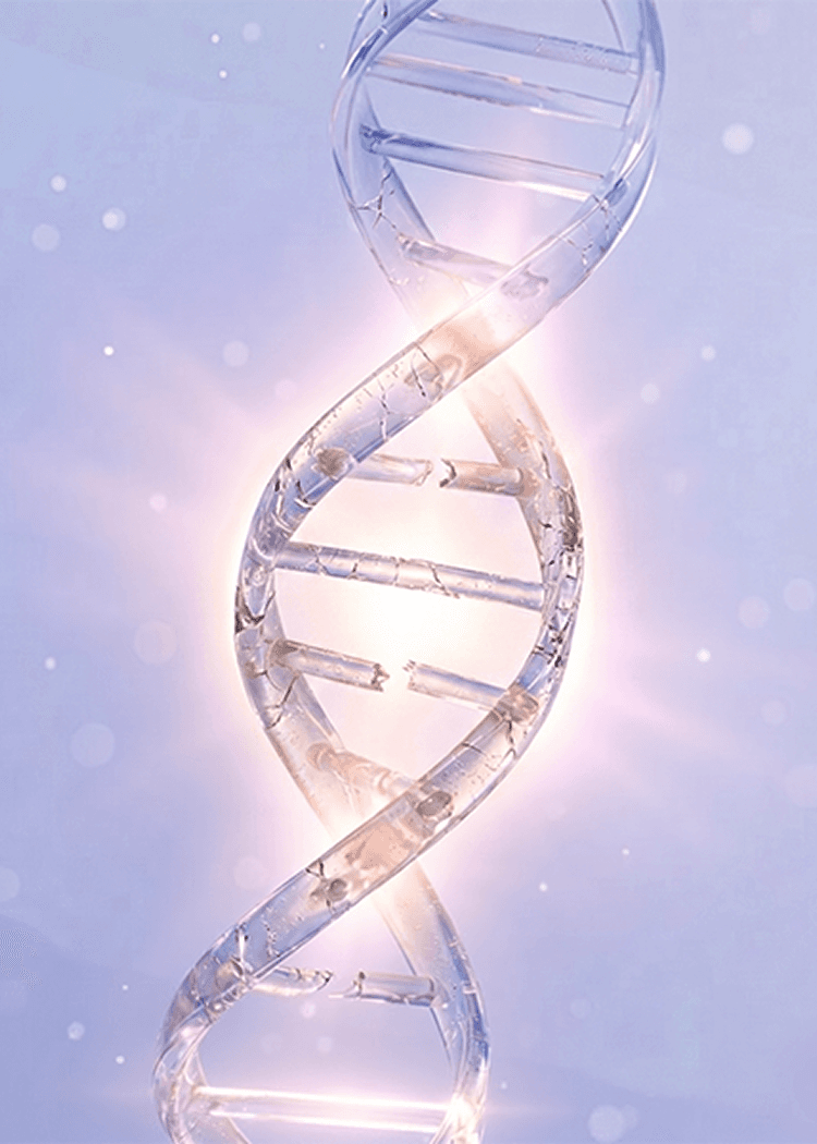 10GF activation visual